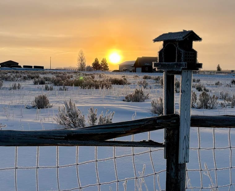 Sunrise over a frosted field with a birdhouse in the foreground